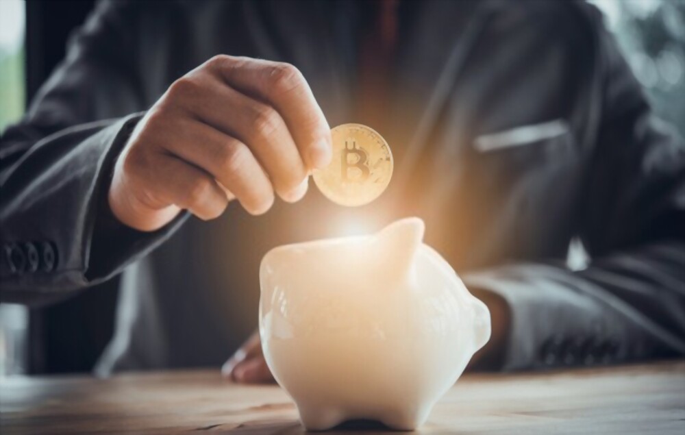 bitcoin investment safety common debates