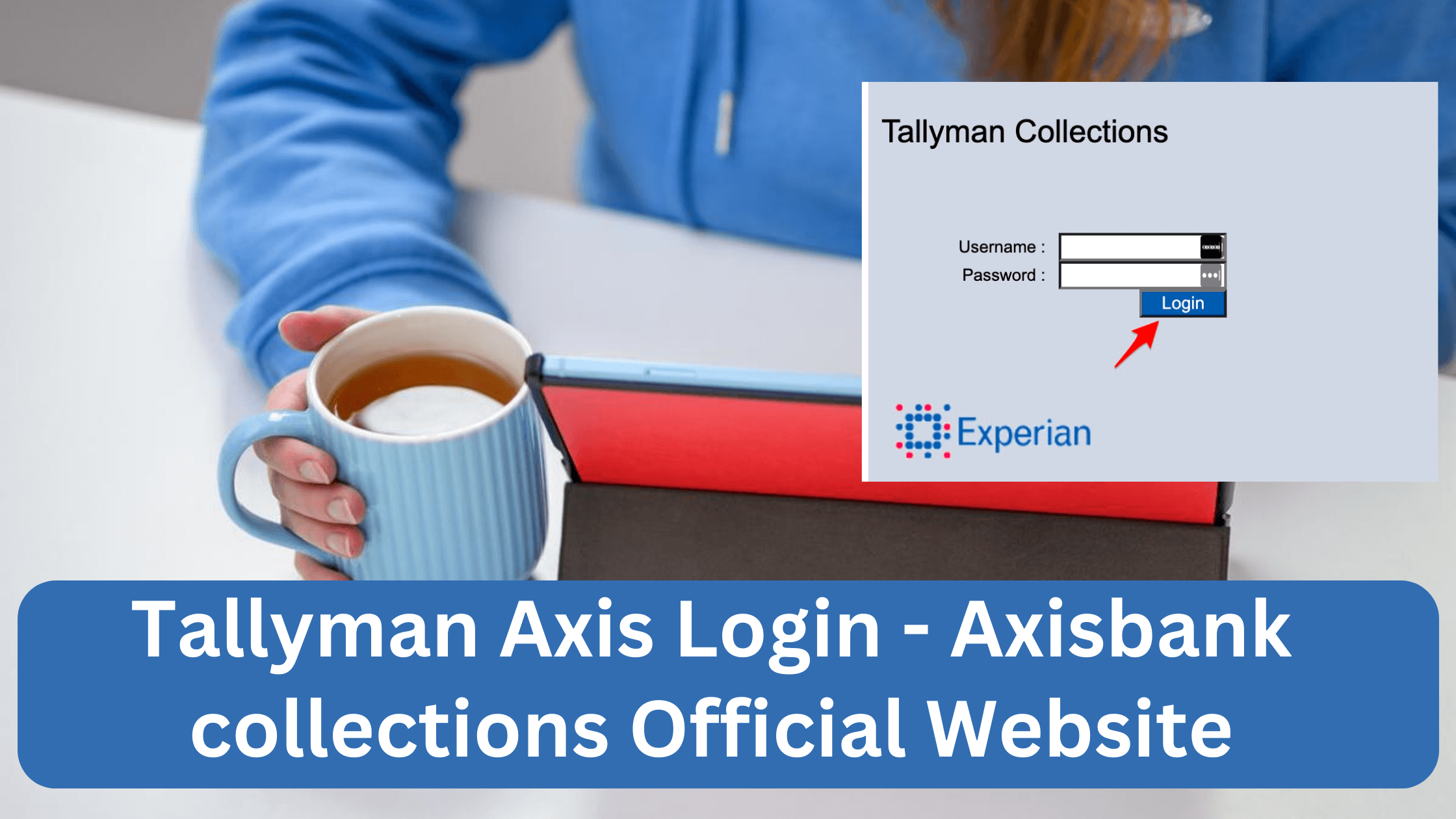 Tallyman axis login